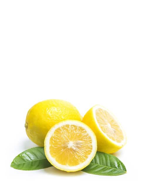 product11 free img.jpg